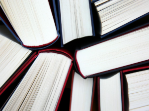 myassignmenthelp review